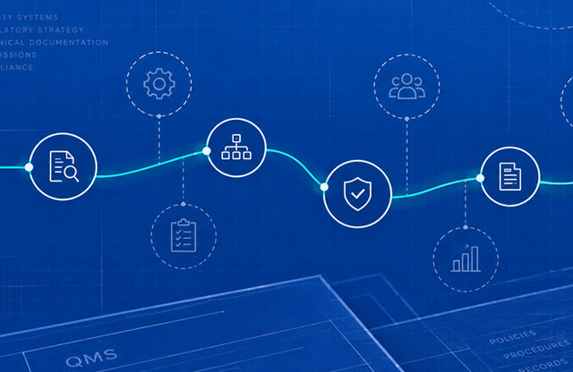 Which QMS Elements Are Essential Now, and What Can Wait
