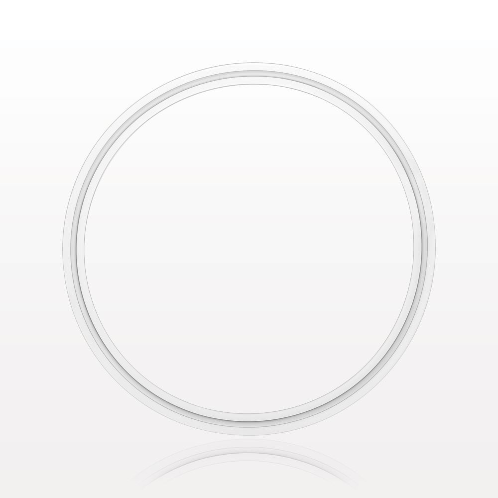 Sanitary Flange Gasket