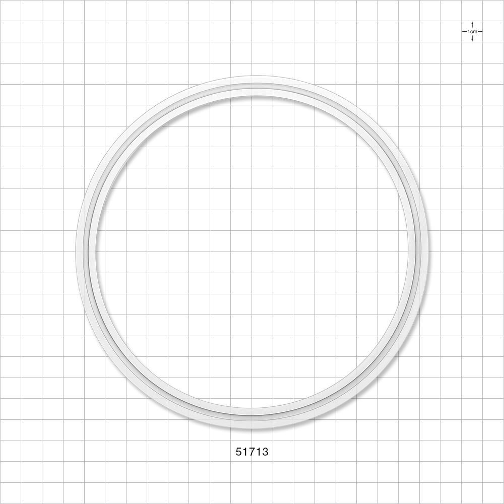 Sanitary Flange Gasket