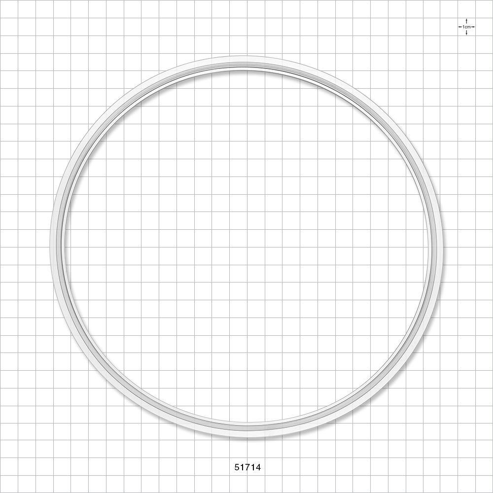 Sanitary Flange Gasket